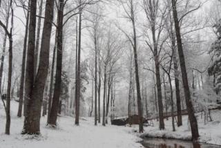 Crows Nest - Stanardsville - 3