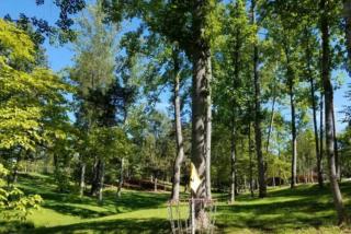 Shire Suite at White Lotus Eco Spa retreat - Stanardsville - 4
