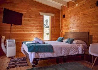 Tiny House con opción de tina temperada - Puerto Varas - 9