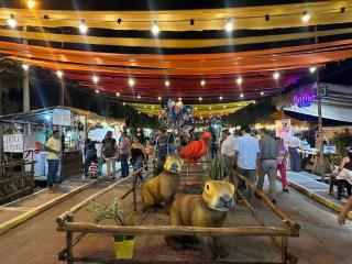 Cabaña Familiar/La jagua Huila/Piscina y BBQ - 5