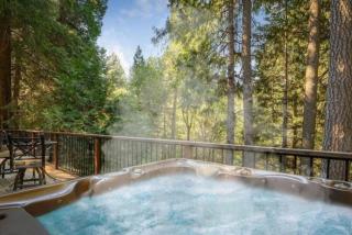 Picturesque Cabin Hot Tub - Nevada City - 6