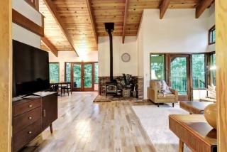 Picturesque Cabin Hot Tub - Nevada City - 4
