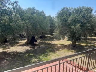 Cozy country house - 3