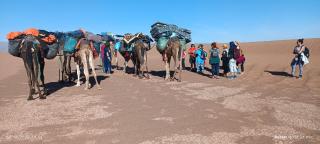 désert tours & Hôtel Titanic lac irik - 1