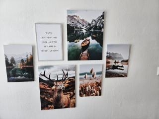 Bergkuss Brunnalm Veitsch - 8