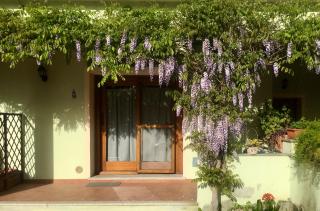Luciana House - Olbia - 0