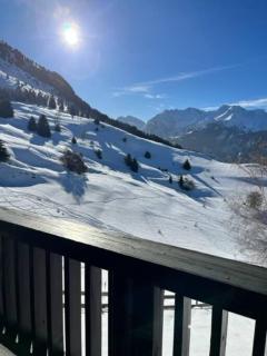 Chalet d'architecte-Alpe d'Huez 9p- 4ch- 1bureau - Villard-Reculas - 0