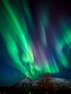 Seaside - Tromsø - 1