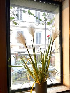Romantic Wellness Apartment COLOSSEO - Roma - 8