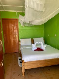 Jungle Green Resort, Kiutine - Meru - 5