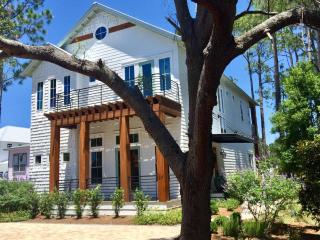 Brown Eyed Girl - Santa Rosa Beach - 7
