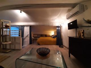 Un nid sur les toits avec terrasse - Apt - 4
