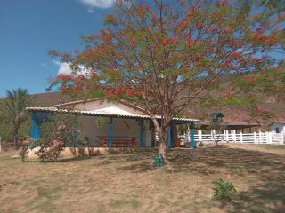 Casa de campo, sítio no interior de MG! - 6