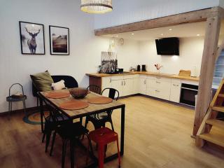 Le chaleureux loft 1 minute du tram - Lingolsheim - 4
