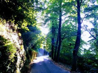 Casolare Puccini - Bagni di Lucca - 1