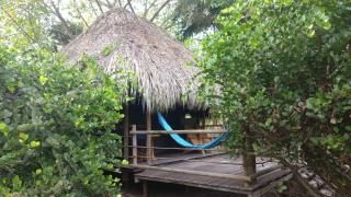 Playa Pikua Ecolodge - Guachaca - 5