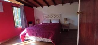 Cabaña Bosque Peralta Ramos para 4 personas, 2 dormitorios - Mar del Plata - 8