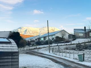 Cheviot - Ukc6789 - Fort William - 7