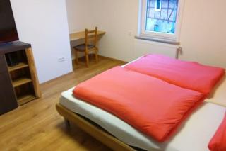 Frisch renovierte Wohnung - Dettum - 2