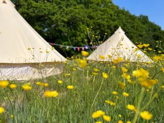 Sussex Bell Tent - Pulborough - 0