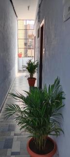 Ashwini home stay hampi - 9