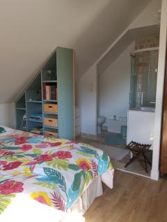 Chambre double dans longère - Soulaines-sur-Aubance - 4