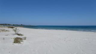 La Corte degli Ulivi Appartamenti - Cala Liberotto - 5