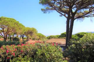 GASMED29 - Golfe de St-Tropez - Chalet californien dans domaine privé - Gassin - 3