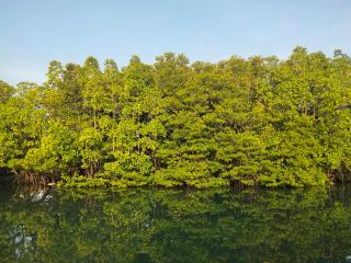 Friend of Nature Homestay - Kaôh Rŭng (5) - 1