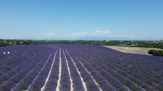 Le Jas des aiguiers - Saint-Saturnin-lès-Apt - 5