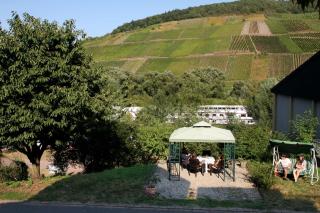 Ferienwohnung „Schwalbennest“ Reil/Mosel - Reil - 9