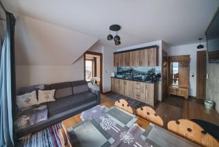 Willa Pasieka Apartamenty Domki - 1