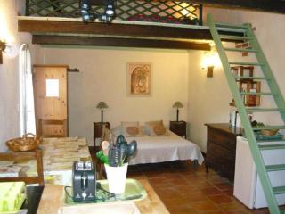 Bastidon les Oliviers - Belgentier - 5