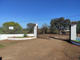 LA TITANA - Huelva - 3