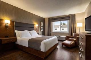 Atlantic Host Hotel, Trademark Collection by Wyndham - Bathurst - 9