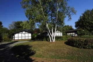 Ferienhaus Robinson Am Krappennest 92 - Waldbrunn - 1