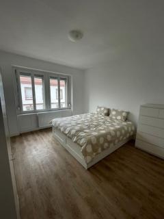 Mulhouse, Urban Family Nest - Mulhouse - 4