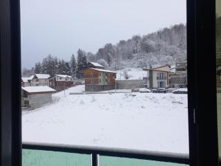 Snow Forest Bakuriani - 9