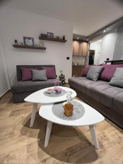 Apartman Nikolina - Kopaonik - 3
