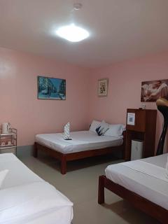 Dreamstay Hostel - Moalboal - 8