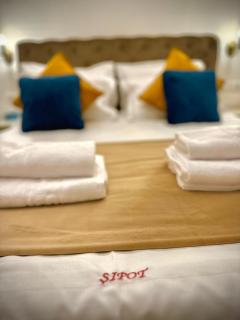 Vila Șipot - Casa Arhitecților - 2