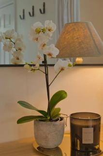 Modern self-contained Studio with own access in Stroud Green - Londra - 7