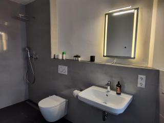 Hotel Valley of Business Frankfurt-Airport - BLACK LABEL PENTHOUSE - Hofheim am Taunus - 1