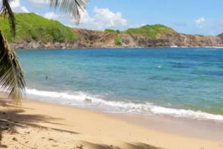 Charmant studio avec vue sur mer à Sainte-Luce - 30m² - Sainte-Luce - 1