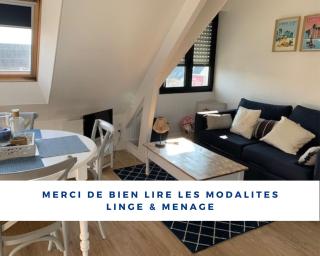 TOUT A PIED ! T2 25m2 - Parking privé - Wifi - Larmor-Plage - 9