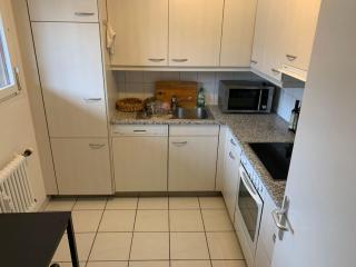 Cozy Flat in the Center of Kleinbasel - Basileia - 9