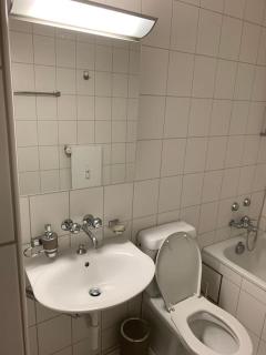 Cozy Flat in the Center of Kleinbasel - Basileia - 4