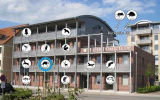 Hafendomicil Appartement WH09 - Dachs - 2