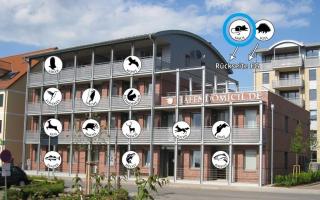 Hafendomicil Appartement WH04 - Igel - Waren - 2