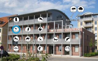 Hafendomicil Appartement WH13 - Eisvogel - Waren - 2